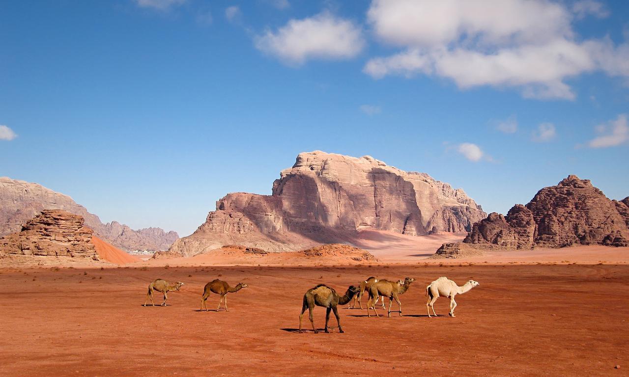 Wadi Rum Moon Light Camp Exteriör bild
