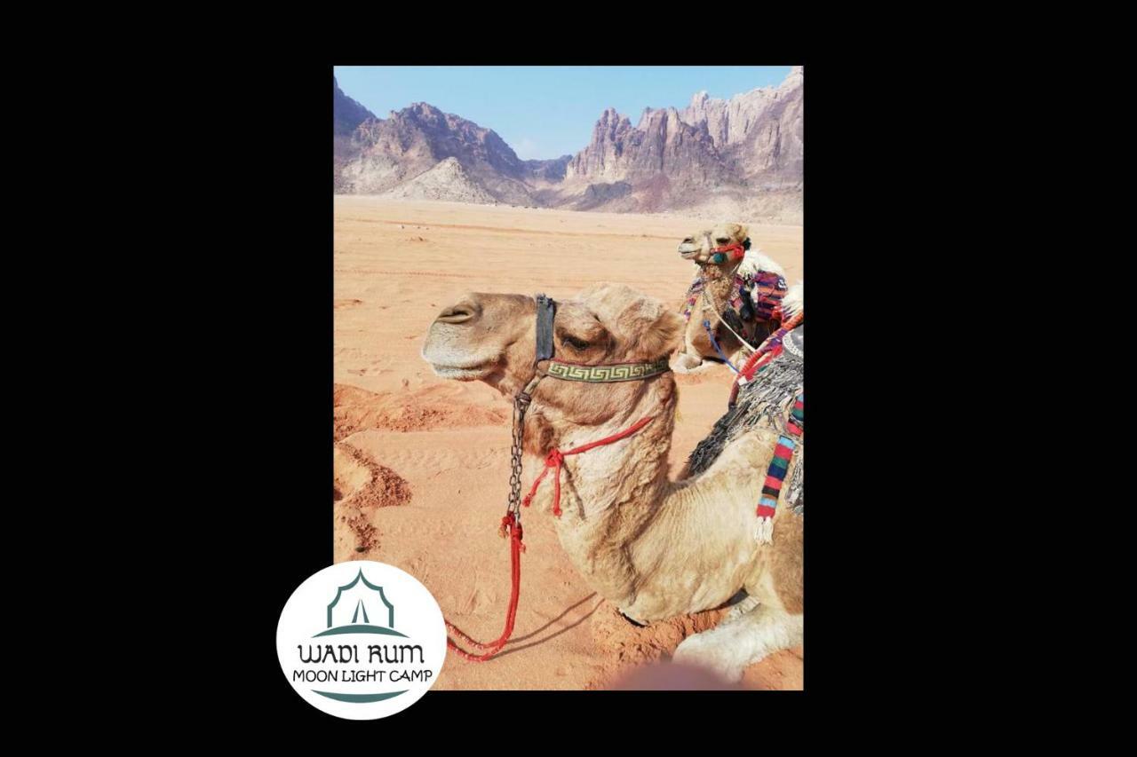 Wadi Rum Moon Light Camp Exteriör bild